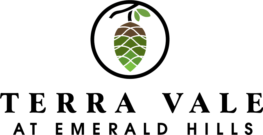 Terra Vale Logo